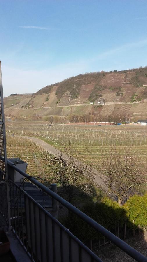 Gaestehaus Moselblick Trittenheim Dış mekan fotoğraf