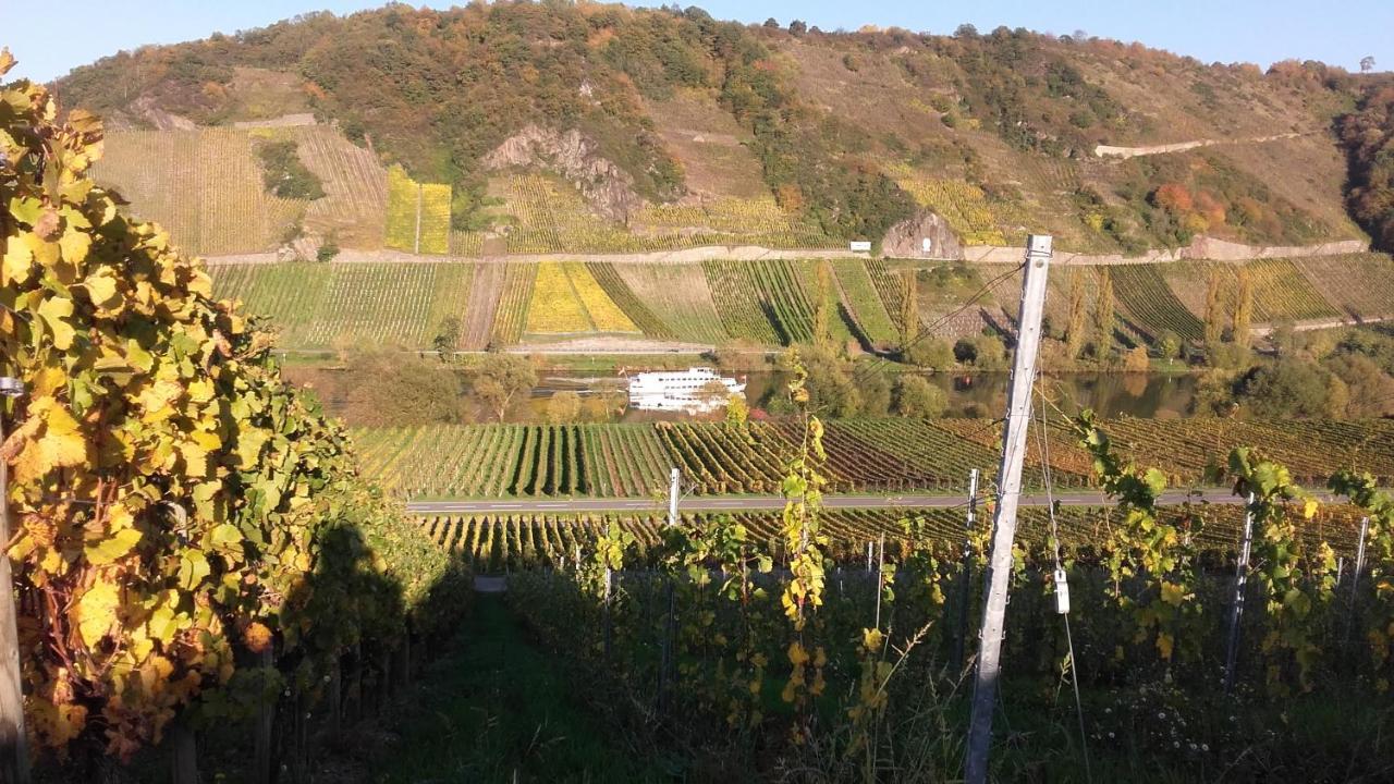 Gaestehaus Moselblick Trittenheim Dış mekan fotoğraf