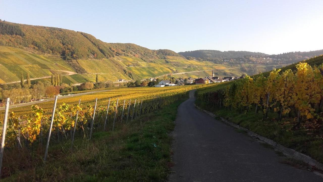 Gaestehaus Moselblick Trittenheim Dış mekan fotoğraf