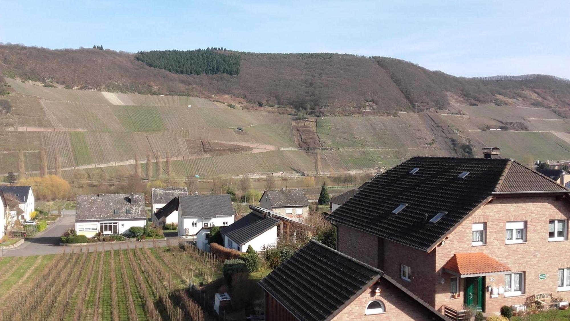Gaestehaus Moselblick Trittenheim Dış mekan fotoğraf