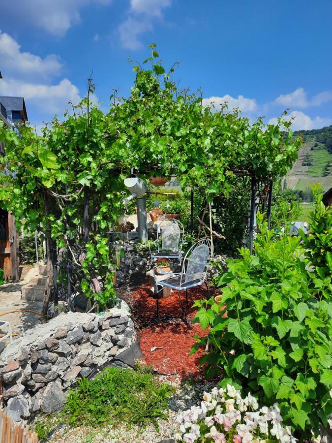 Gaestehaus Moselblick Trittenheim Dış mekan fotoğraf